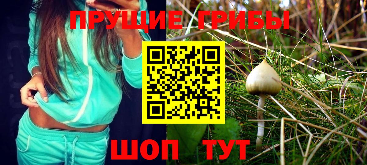 Галлюциногенные грибы мухоморы Пенза