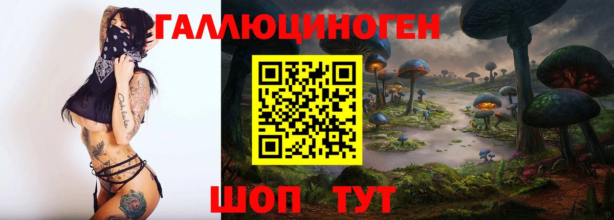 Галлюциногенные грибы Magic Shrooms  Вход с VPN  Галлюциногенные грибы мицелий  Пенза 